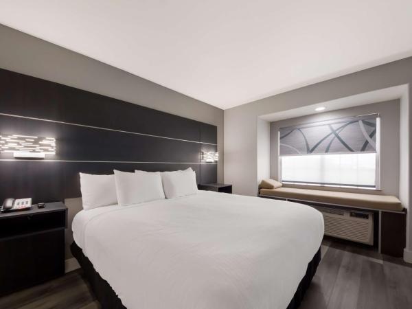 Best Western SeaWorld San Antonio : photo 2 de la chambre chambre lit king-size - non-fumeurs