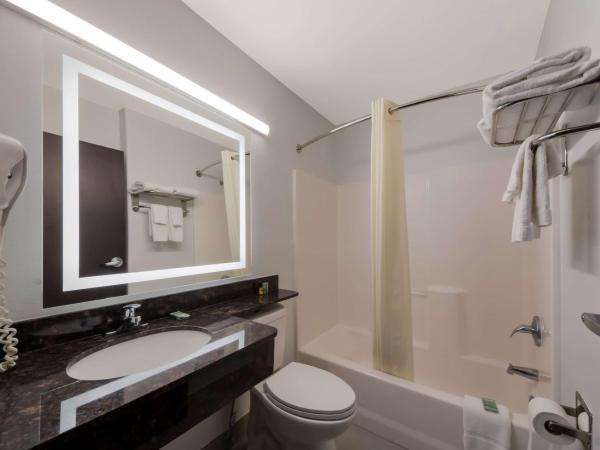 Best Western SeaWorld San Antonio : photo 4 de la chambre suite lit king-size avec canapé-lit - non-fumeurs