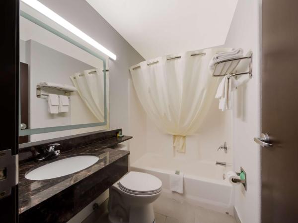 Best Western SeaWorld San Antonio : photo 4 de la chambre chambre double avec 2 lits doubles - non-fumeurs