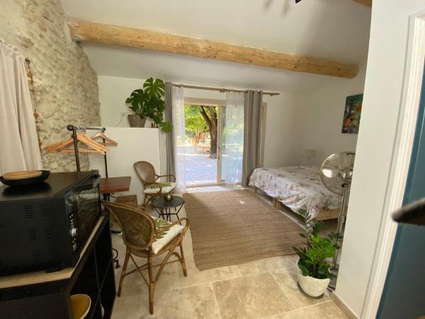 Otarkia : photo 4 de la chambre studio avec vue sur jardin