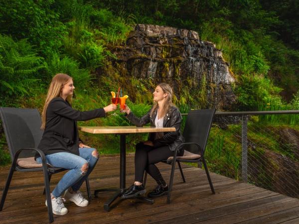 Hotel Astoria : photo 5 de la chambre offre spéciale - chambre double ou lits jumeaux confort avec forfait anti-stress
