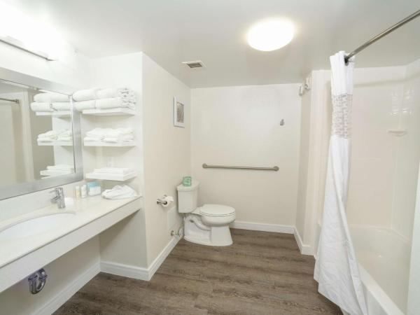 Hampton Inn Jacksonville - East Regency Square : photo 4 de la chambre chambre 2 lits queen-size - accessible aux personnes à mobilité réduite et adaptée aux personnes malentendantes - non-fumeurs