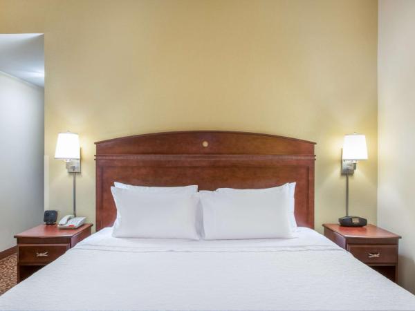 Hampton Inn & Suites Oklahoma City - South : photo 1 de la chambre chambre lit king-size - non-fumeurs