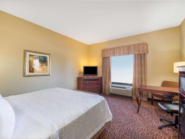 Hampton Inn & Suites Oklahoma City - South : photo 2 de la chambre chambre lit king-size - non-fumeurs