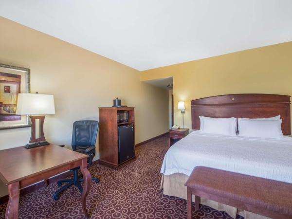 Hampton Inn & Suites Oklahoma City - South : photo 3 de la chambre chambre lit king-size - non-fumeurs