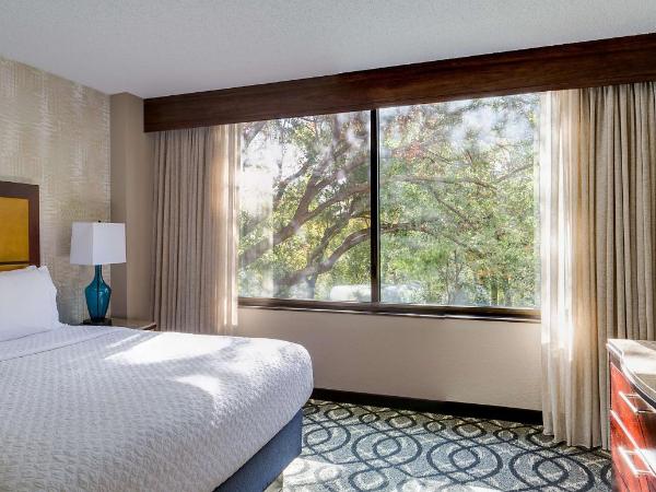 Embassy Suites by Hilton Dallas-Love Field : photo 3 de la chambre suite lit king-size – non-fumeurs