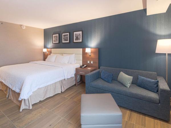 Hampton by Hilton Monterrey Galerias Obispado : photo 1 de la chambre chambre lit king-size exécutive avec canapé-lit - non-fumeurs