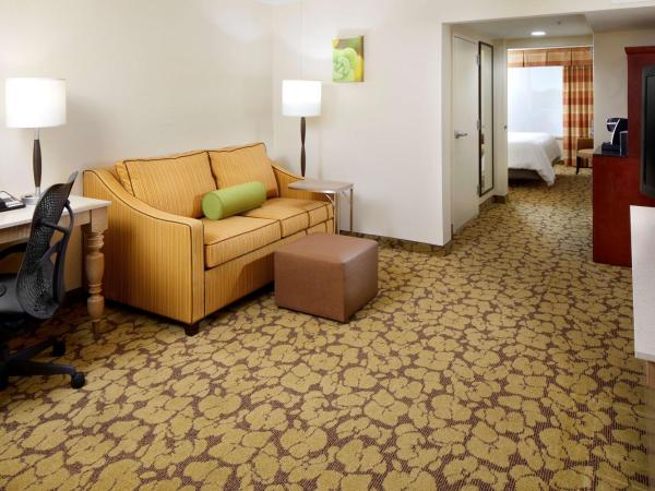 Hilton Garden Inn Savannah Midtown : photo 2 de la chambre suite 1 chambre lit king-size