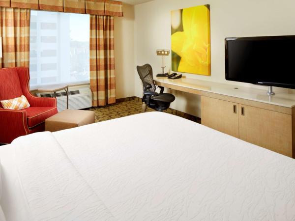 Hilton Garden Inn Savannah Midtown : photo 3 de la chambre chambre lit king-size