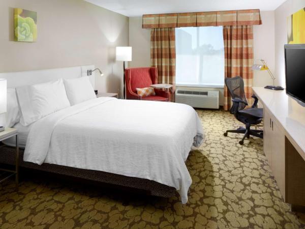 Hilton Garden Inn Savannah Midtown : photo 4 de la chambre chambre lit king-size
