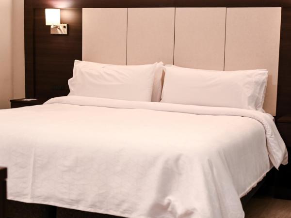 Holiday Inn Express Rosario, an IHG Hotel : photo 10 de la chambre chambre lit king-size loisirs- non-fumeurs