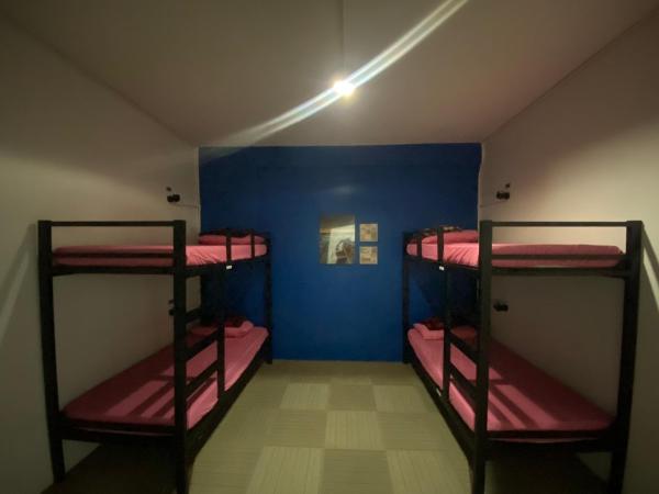 Wakaka Hostel : photo 2 de la chambre lit dans dortoir mixte de 4 lits