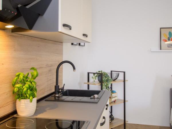 Apartments & Rooms Darrer : photo 2 de la chambre appartement 1 chambre