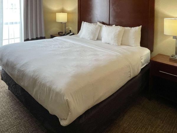 Comfort Suites Near Seaworld : photo 1 de la chambre suite lit king-size – non-fumeurs