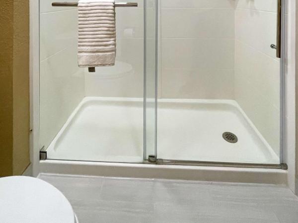 Comfort Suites Near Seaworld : photo 3 de la chambre suite lit king-size avec jacuzzi - non-fumeurs