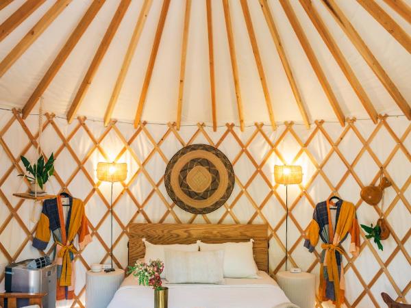 Camposanto Glamping - The Macaw Yurt : photo 7 de la chambre tente