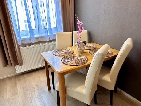 Pension SKLEP : photo 4 de la chambre studio