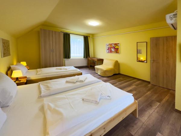 Írisz Panzió : photo 3 de la chambre chambre familiale avec terrasse