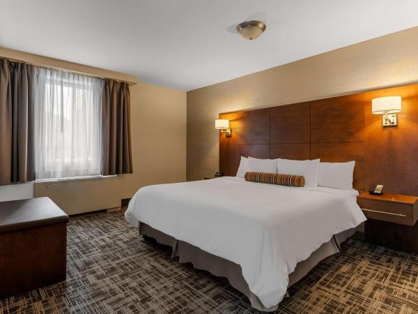 Best Western Ville-Marie Hotel & Suites : photo 2 de la chambre suite lit king-size avec jacuzzi