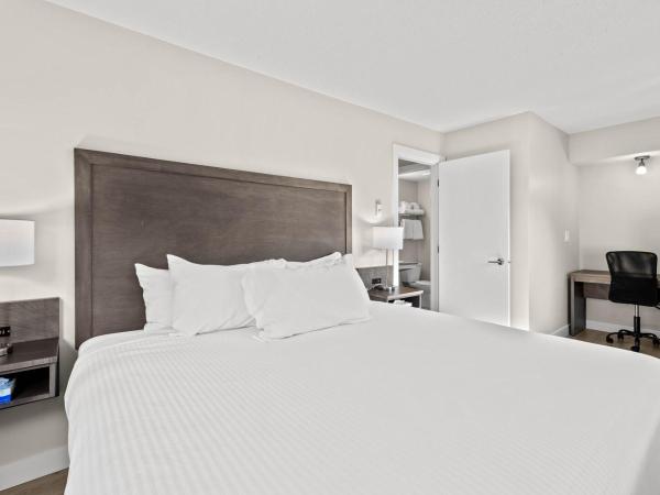 The Vista Inn : photo 8 de la chambre suite lit king-size