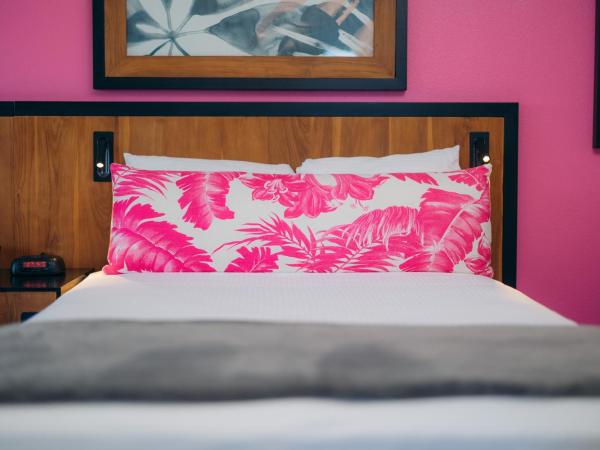 Ilima Hotel : photo 1 de la chambre studio lit king-size de luxe avec cuisine