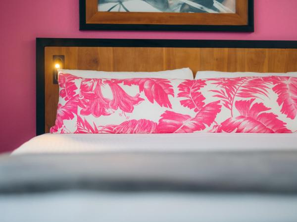 Ilima Hotel : photo 2 de la chambre studio supérieur avec cuisine