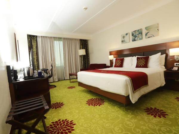 Hilton Garden Inn New Delhi/Saket : photo 2 de la chambre chambre lit king-size premium