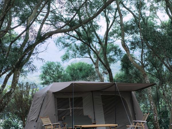 NatureLand Campsite : photo 1 de la chambre tente double standard