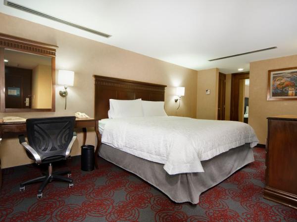 Hampton Inn & Suites Mexico City - Centro Historico : photo 1 de la chambre chambre lit king-size - non-fumeurs