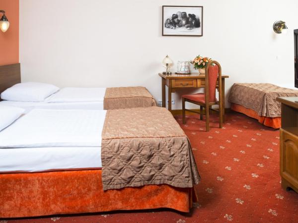 Hotel Regent : photo 2 de la chambre chambre triple