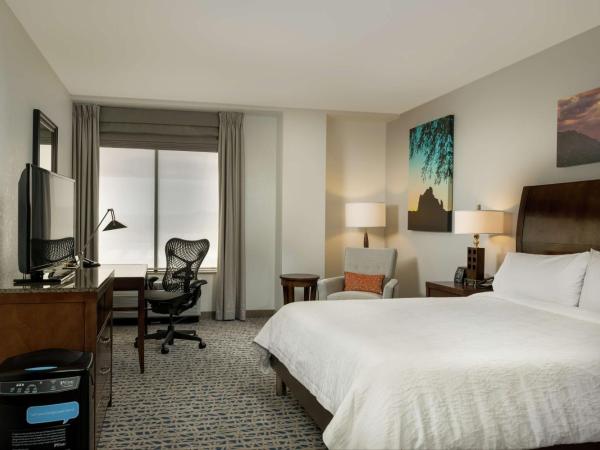 Hilton Garden Inn Phoenix Airport North : photo 1 de la chambre chambre lit king-size bien-Être pure