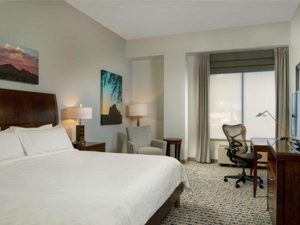 Hilton Garden Inn Phoenix Airport North : photo 1 de la chambre chambre lit king-size