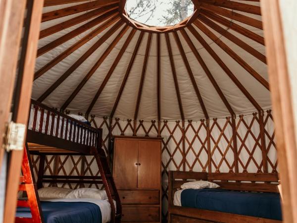 Riverside Resort : photo 1 de la chambre yourte camping #2