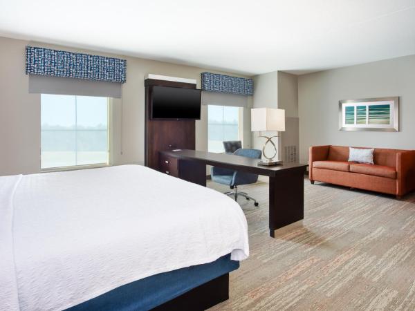 Hampton Inn & Suites Columbia/Southeast-Fort Jackson : photo 8 de la chambre suite studio lit king-size - non-fumeurs