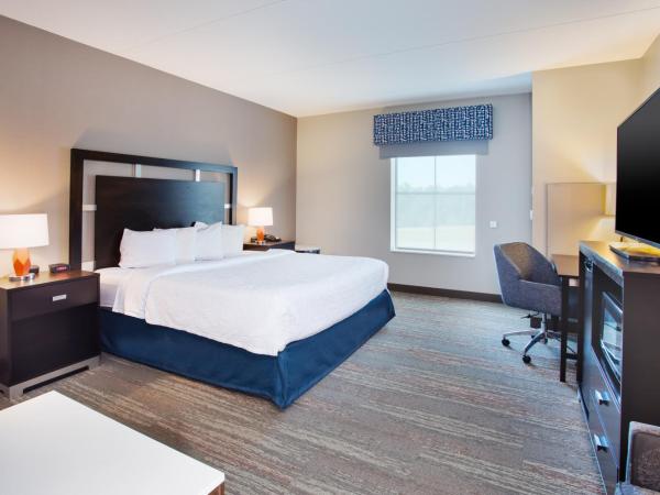 Hampton Inn & Suites Columbia/Southeast-Fort Jackson : photo 5 de la chambre chambre lit king-size - non-fumeurs