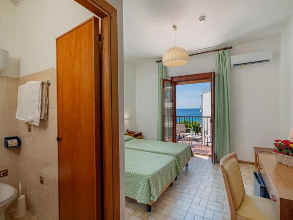 Hotel El Balear : photo 4 de la chambre chambre double ou lits jumeaux standard - vue sur jardin