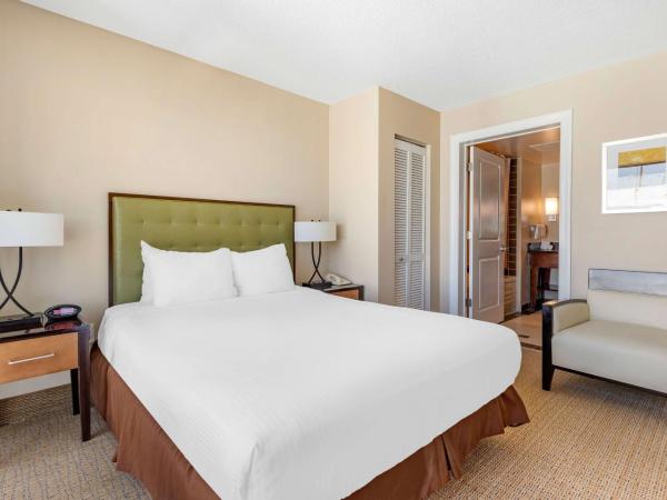 Hilton Vacation Club Ocean Beach Club Virginia Beach : photo 3 de la chambre suite 1 chambre avec lit king-size - front de mer