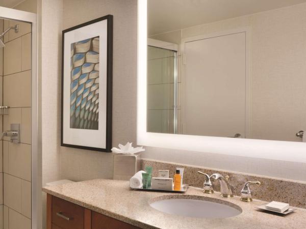 Hilton Chicago Magnificent Mile Suites : photo 6 de la chambre suite 1 chambre lit king-size