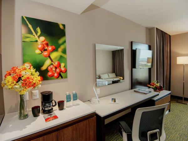 Hilton Garden Inn Puebla Angelopolis : photo 3 de la chambre suite junior