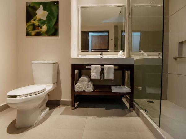 Hilton Garden Inn Puebla Angelopolis : photo 5 de la chambre chambre lit king-size