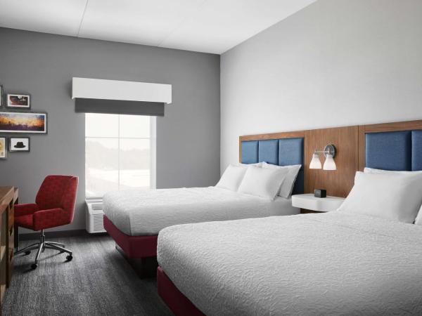 Hampton Inn & Suites Charlotte Steele Creek Road, NC : photo 2 de la chambre chambre avec 2 grands lits queen-size 