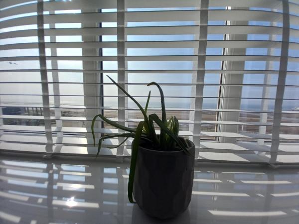 Vinnie's Family Hotel : photo 7 de la chambre chambre quadruple - vue sur mer