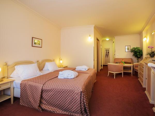 Interhotel Central : photo 2 de la chambre chambre double deluxe