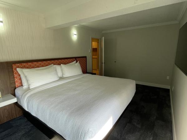 The Vic, Ascend Hotel Collection : photo 10 de la chambre suite lit king-size - non-fumeurs