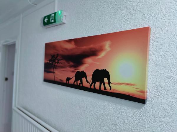 Aaran Central Guesthouse : photo 4 de la chambre chambre simple