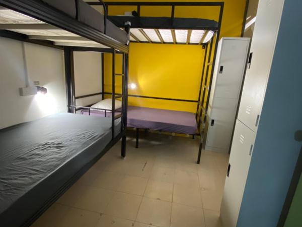 Wakaka Hostel : photo 1 de la chambre lit dans dortoir pour femmes de 4 lits