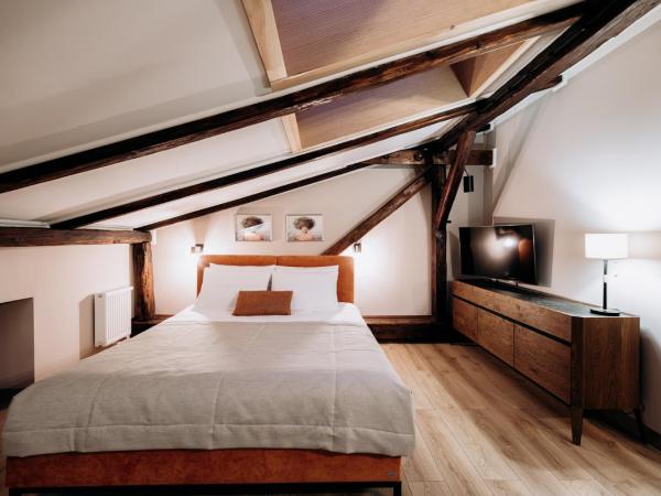 Apart Residence Ariańska 16 by NEARTO PL : photo 6 de la chambre studio