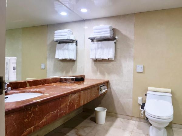 Sejong Hotel Seoul Myeongdong : photo 8 de la chambre chambre quadruple