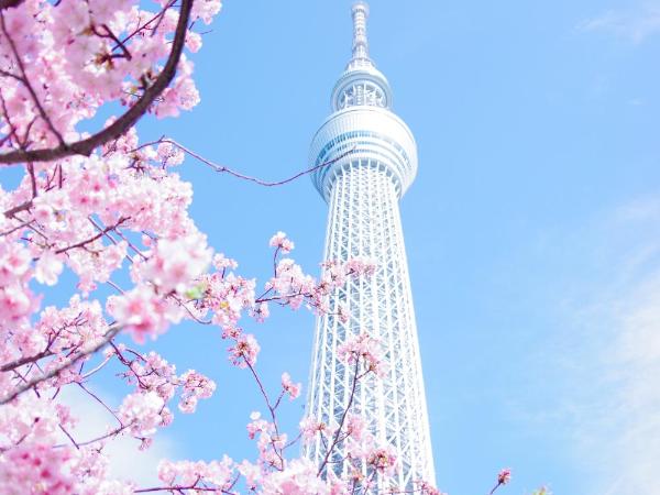 东京上野超级中心 设计师房间Yeob 上野公园3分钟 车站1分钟 超级繁华 免费wifi 戴森吹风 : photo 4 de la chambre suite 2 chambres