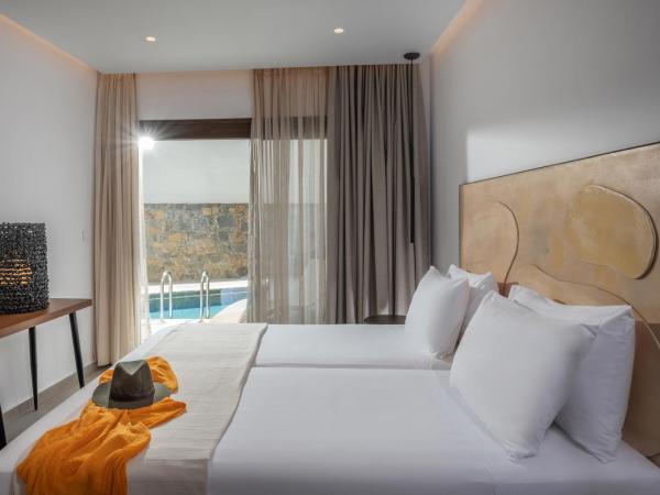 Mika Villas & Suites : photo 10 de la chambre villa avec piscine privée